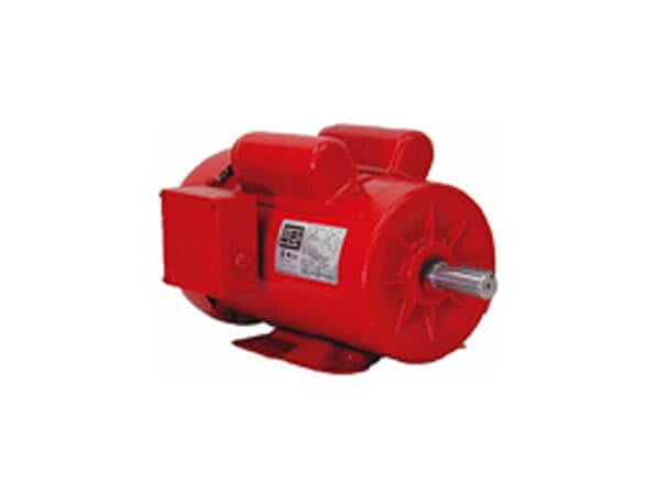 WEG Electric Motor