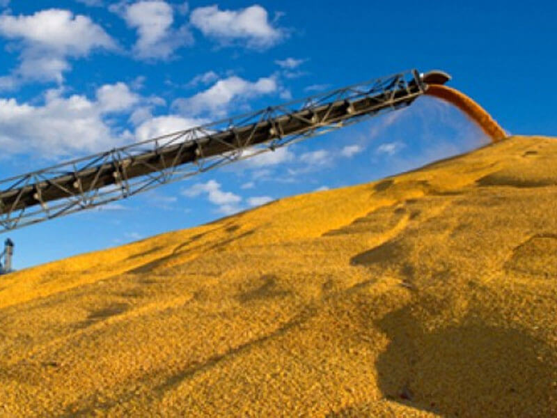 Grain Handling
